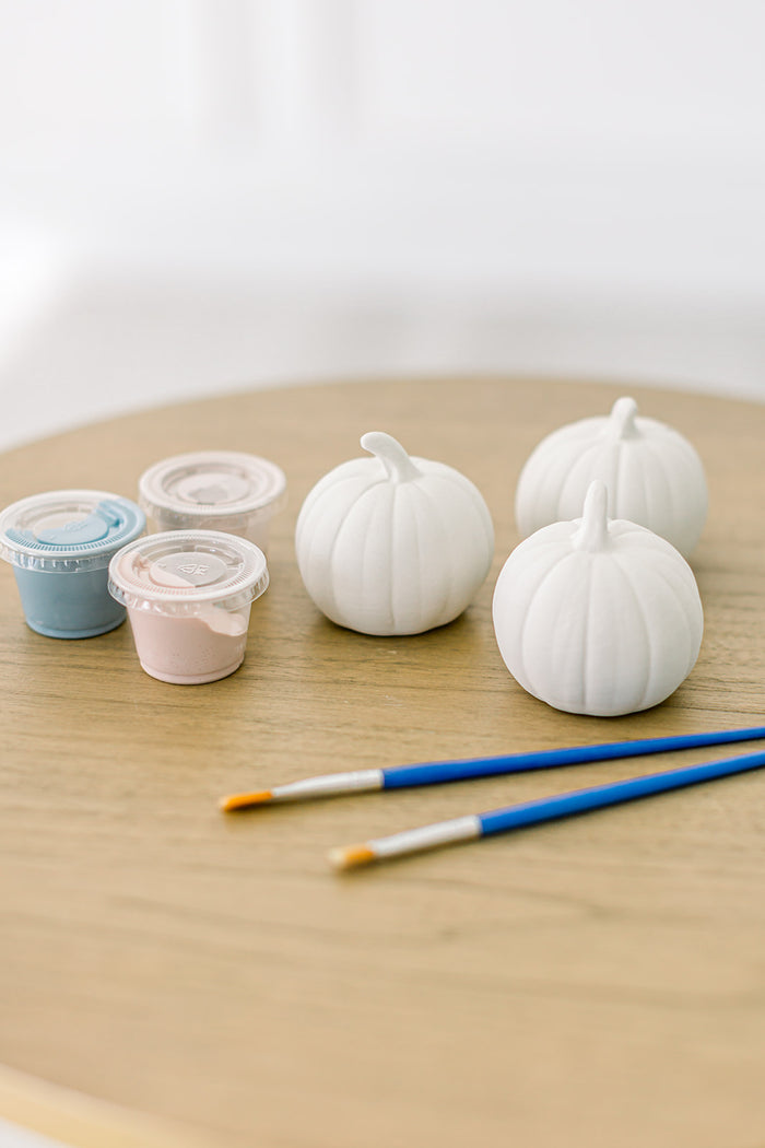 Paint Your Own Pottery Set